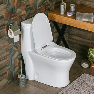 800-2011D  Унитаз моноблок MELANA