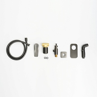 Смеситель с гигиеническим душем встраиваемый "Bronx" (LM3719GM) графит LEMARK 