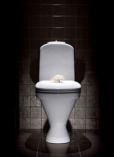 Унитаз-компакт "CLASSIC Basic " в комп.сиденье мультилифт термопл. б/съем (Самара) 