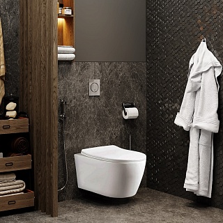 Унитаз подвесной Cerutti  SPA "SELLA PP" безободковый сид. м/лифт CT9738 АКЦИЯ