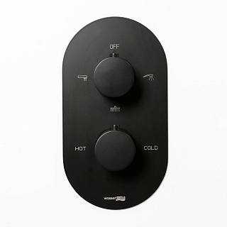 Смеситель д/ванны и душа "Elbe Thermo" (7444)  встройка 35мм черный  WasserKraft