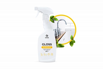 Чистящее средство "Gloss Professional" (флакон 600мл) 125533 ВЫГОДА