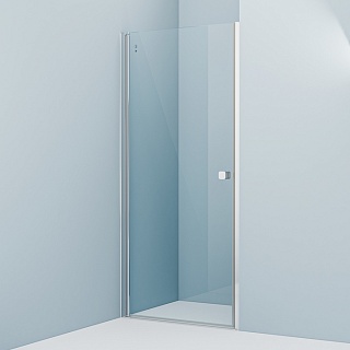 Душевая дверь распашная, глянцевый ал. проф., 90х195, Ray, IDDIS, RAY6CP9i69