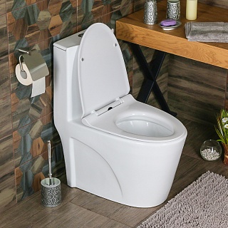 800-2010  Унитаз моноблок MELANA