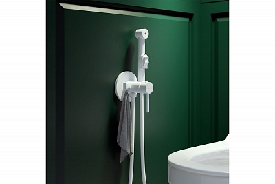 Встраиваемый смеситель с гигиеническим душем 003WTR0i08 белый