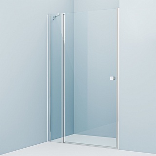 Душевая дверь распашная, глянцевый ал. проф., 110х195, Ray, IDDIS, RAY6CP1i69