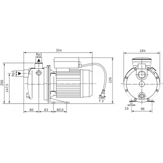 Насос WJ-203-EM (4081222) повысит.