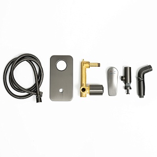 Смеситель с гигиеническим душем встраиваемый "Bronx" (LM3720GM) графит LEMARK 