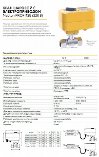 Кран с эл/приводом Neptun PROFI 12В 1"