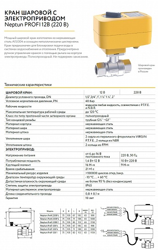 Кран с эл/приводом Neptun PROFI 12В 1"