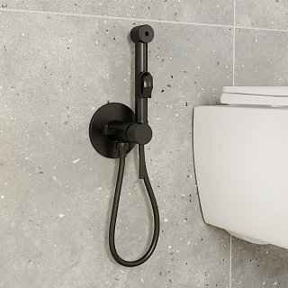 Встраиваемый смеситель с гигиеническим душем, матовый черный, IDDIS, 003BLR0i08