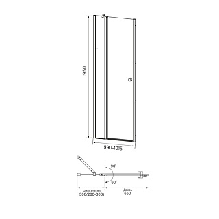 Душевая дверь распашная, глянцевый ал. проф., 100х195, Ray, IDDIS, RAY6CP0i69